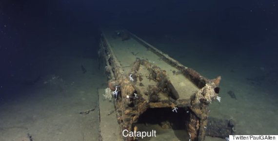 o-CATAPULT-570.jpg